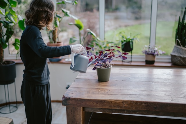 atelier enfant
