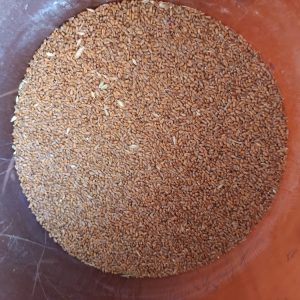 Blé pour basse-cour – Alimentation animale – Jardin d’Alain, Bligny-lès-Beaune