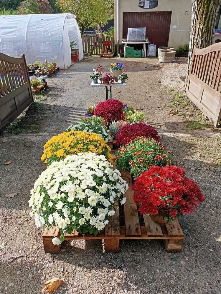 décoration de la toussaint