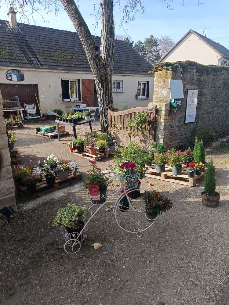 jardin alain