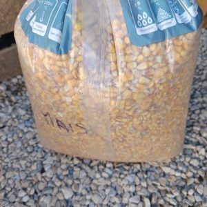 Maïs non concassé – Grains entiers pour pêche et basse-cour | Le Jardin d’Alain Bligny-lès-Beaune