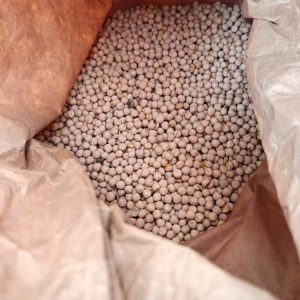 Pois pour animaux – Aliment naturel riche en protéines | Le Jardin d’Alain Bligny-lès-Beaune