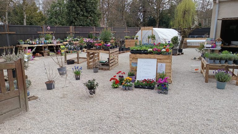Jardinerie à Beaune – Plantes, potager et conseils | Bligny-lès-Beaune