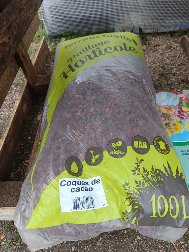 Pourquoi pailler son jardin en hiver (et avec quoi)