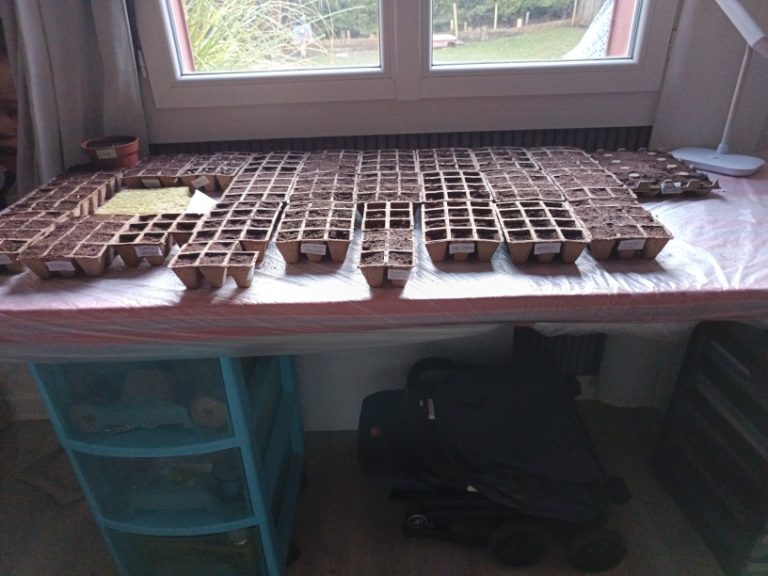 Février au Potager : Comment Réussir Vos Semis pour le Printemps