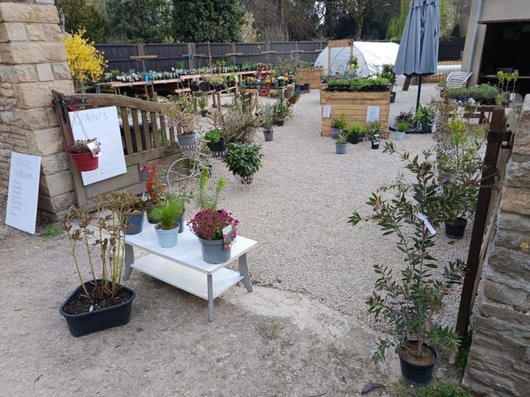 Plus qu&rsquo;une jardinerie : Découvrez l&rsquo;expérience « Jardin d&rsquo;Alain » à Bligny-lès-Beaune